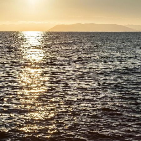 La Casa Nel Parco Daire Viareggio Dış mekan fotoğraf